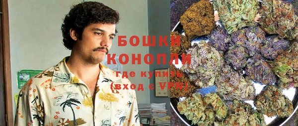 PSILOCYBIN Богданович